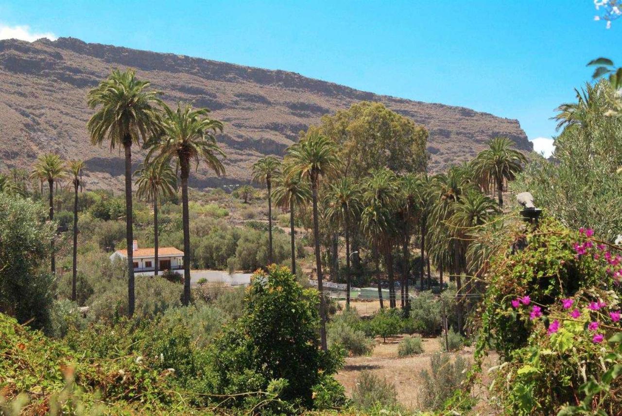 Casa Rural El Olivar La Almazara Santa Lucia De Tirajana Bagian luar foto