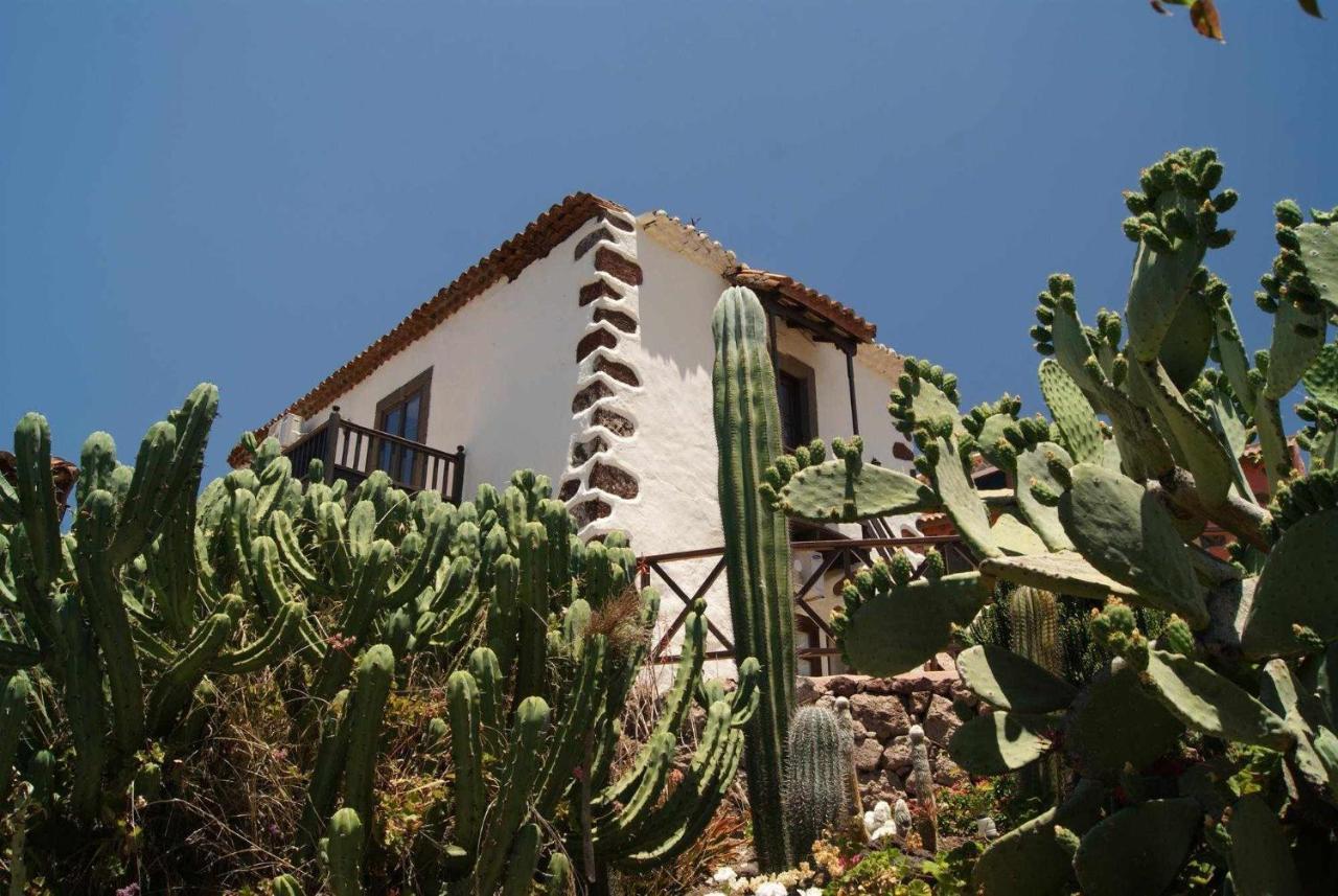 Casa Rural El Olivar La Almazara Santa Lucia De Tirajana Bagian luar foto